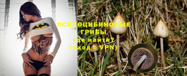 ГАЛЛЮЦИНОГЕННЫЕ ГРИБЫ Алексеевка