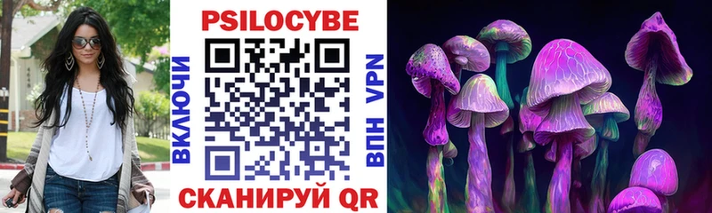 Псилоцибиновые грибы GOLDEN TEACHER  ссылка на мегу сайт  Благовещенск  купить закладку 